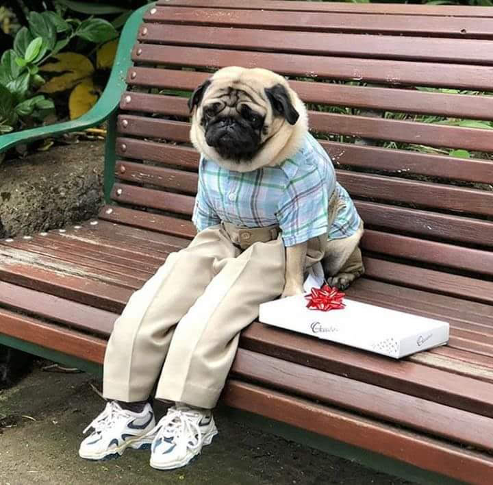 fb_img_1523449807220